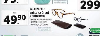 Lidl Brýle na čtení s pouzdrem nabídka