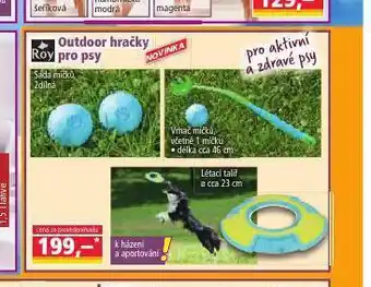 Outdoor hračky pro psy