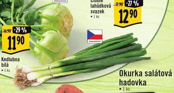 Jip Cibule lahůdková svazek nabídka