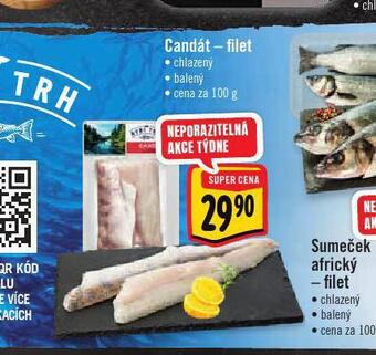 Albert Candát filet nabídka