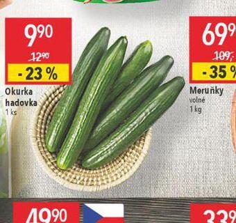 Globus Okurka hadovka nabídka
