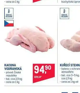 Makro Kachna vodňanská nabídka