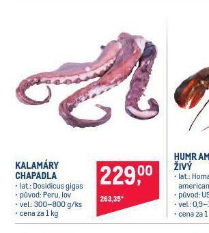 Makro Kalamáry chapadla nabídka