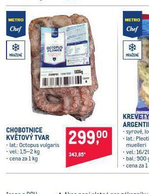Makro Chobotnice květový tvar nabídka