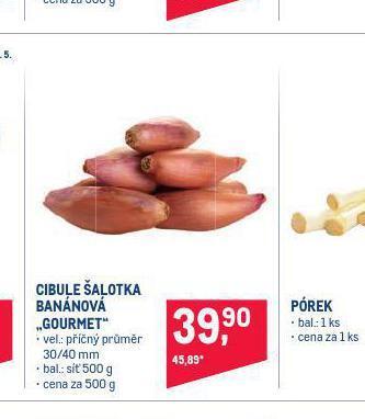 Cibule šalotka