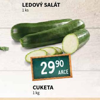 Terno Cuketa nabídka