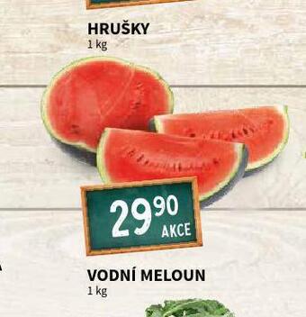 Terno Meloun vodní nabídka