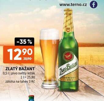 Terno Pivo zlatý bažant nabídka