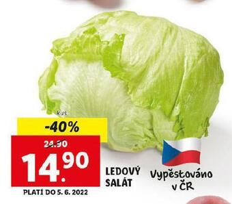 Lidl Salát ledový nabídka
