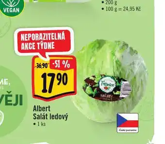 Jip Albert salát ledový nabídka