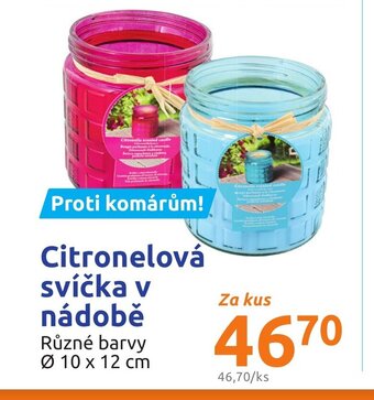 Action Citronelová svíčka v nádobě nabídka