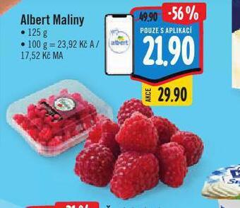 Albert Albert maliny nabídka