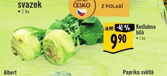 Albert Kedlubna bílá nabídka