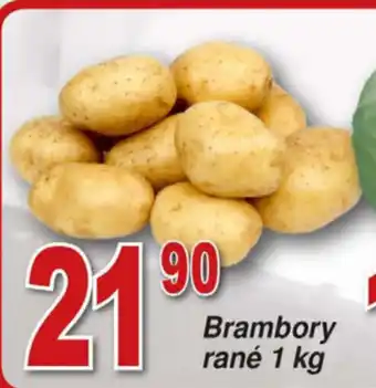 Hruška Brambory rané 1 kg nabídka