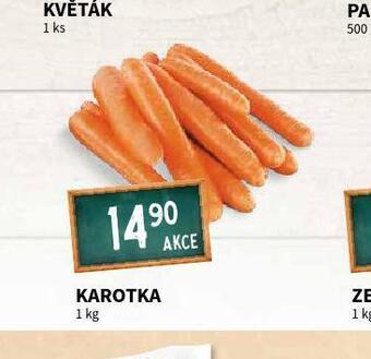 Karotka