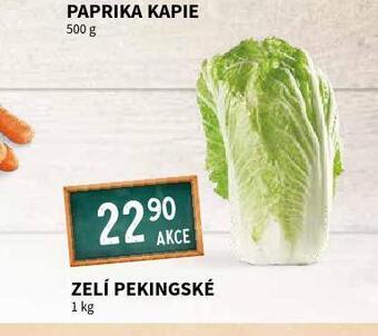 Terno Zelí pekingské nabídka