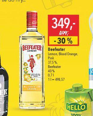 Globus Beefeater nabídka