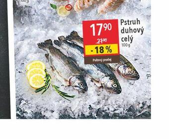 Globus Pstruh duhový celý nabídka