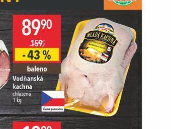 Globus Vodňanská kachna nabídka
