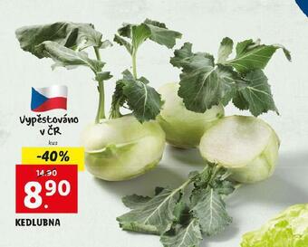 Lidl Kedlubna nabídka