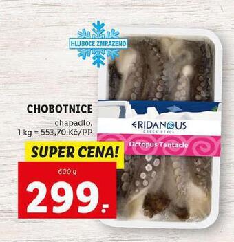 Lidl Chobotnice nabídka