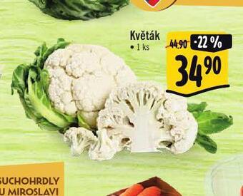 Jip Květák nabídka