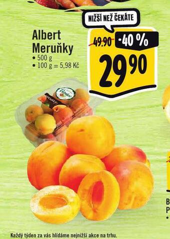 Albert Meruňky nabídka