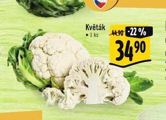 Albert Květák nabídka