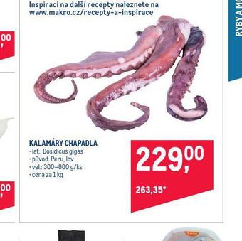 Makro Kalamáry chapadla nabídka