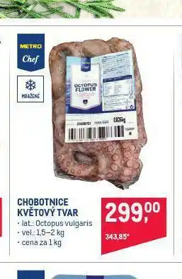 Makro Chobotnice květový tvar nabídka