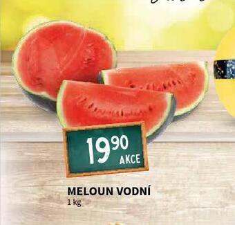 Terno Meloun vodní nabídka