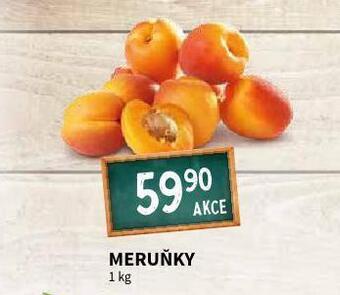 Terno Meruňky nabídka