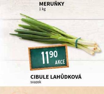Terno Cibule lahůdková nabídka