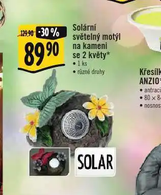 Albert Solární světelný motýl na kameni se 2 květy nabídka