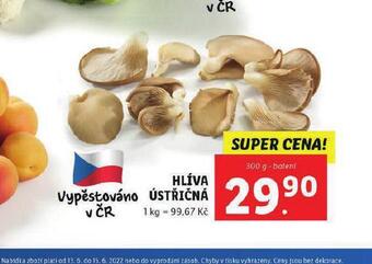 Lidl Hlíva ústřičná nabídka