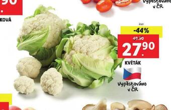 Lidl Květák nabídka