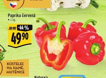 Jip Paprika nabídka