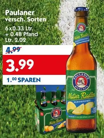 Hol'ab Getränkemarkt Paulaner 6x0,33L Angebot