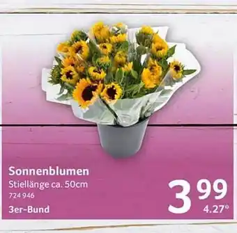 Selgros Sonnenblumen Angebot