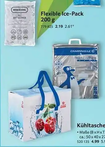 Selgros Flexible Ice-pack Oder Kühltasche Angebot