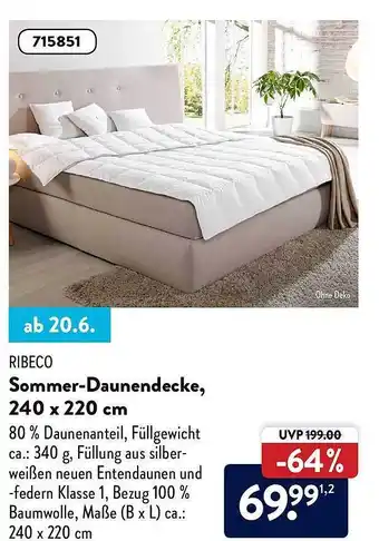 Aldi Nord Ribeco Sommer-daunendecke 240x220 Cm Angebot