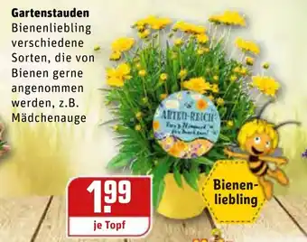 REWE Kaufpark Gartenstauden Angebot