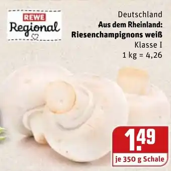 REWE Kaufpark Riesenchampignons weiß 350g Angebot