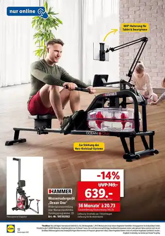 Lidl Hammer Wasserrudergerät „ocean One” Angebot