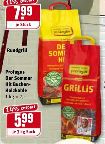 REWE Kaufpark Profagus Der Sommer Hit Bubchen Holzkohle 3kg Angebot