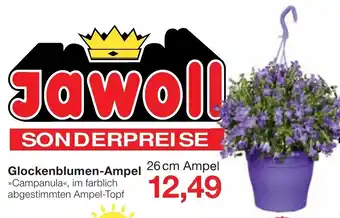 Jawoll Glockenblumen Ampel Angebot