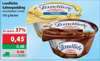 L. STROETMANN GROSSMARKT Landliebe Sahnepudding 150g Becher Angebot