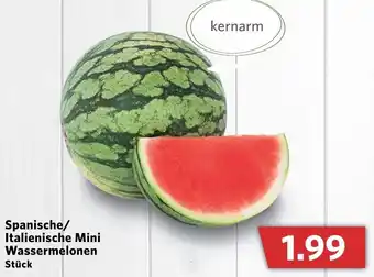 Combi Spanische/Italienische Mini Wassermelonen Angebot