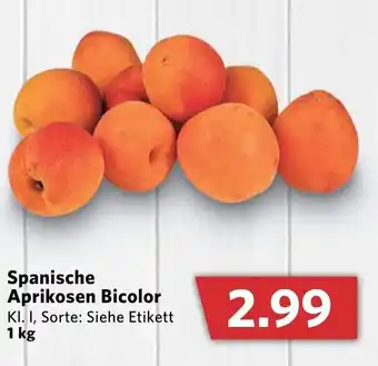 Combi Spanische Aprikosen Bicolor 1kg Angebot