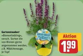 REWE Gartenstauden ,,Bienenliebling" Angebot